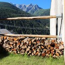 IMG_1009.jpg...